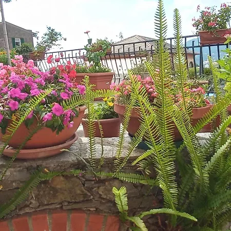 Casa Giovanna Apartman Camogli
